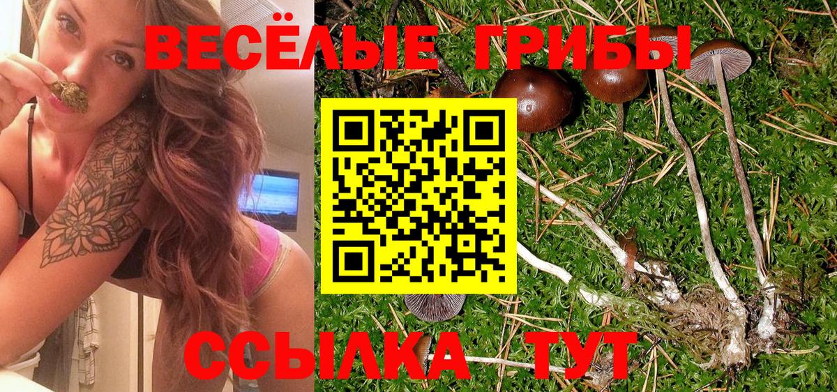 Галлюциногенные грибы мицелий  Вход с VPN  закладки  Нарьян-Мар 