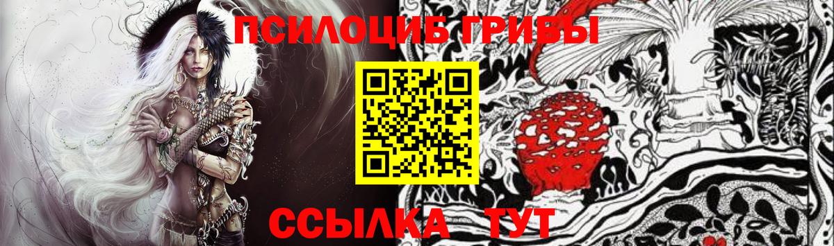 Галлюциногенные грибы Psilocybine cubensis Нарьян-Мар